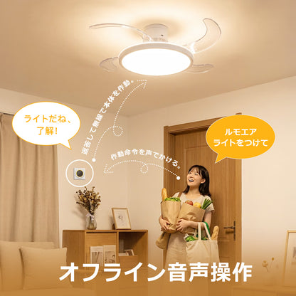 LumoAir (ルモエア）　 シーリング・ファン・ライト | 50cm